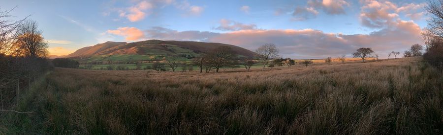 Panoramic view of agricultural field against sky