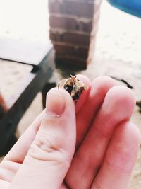 Close-up of hand holding small leaf