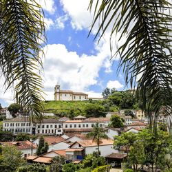 Houses and trees in town against sky