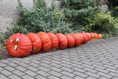View of pumpkin on stone wall during halloween