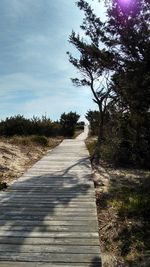 Boardwalk amidst trees on beach against sky