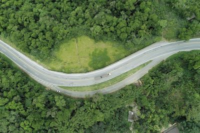 High angle view of road amidst trees in forest