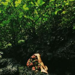 Woman standing on tree trunk