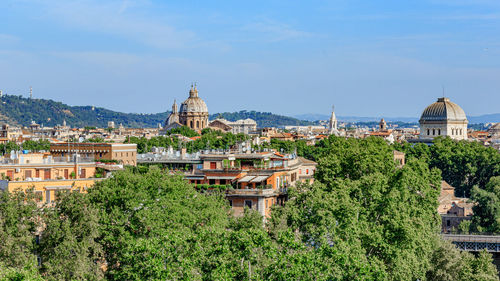 High angle view of trees and buildings in city