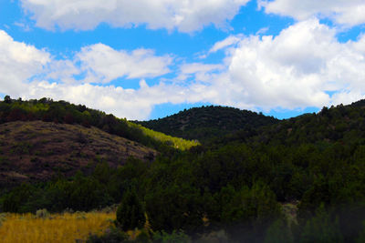 Landscape with mountain range in background