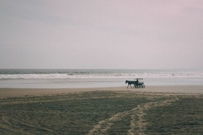 Scenic view of people riding on beach against sky