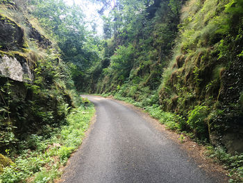 Road amidst trees in forest