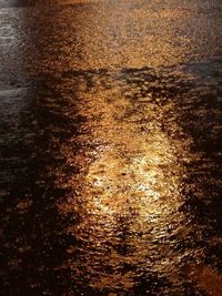 Reflection of trees in water