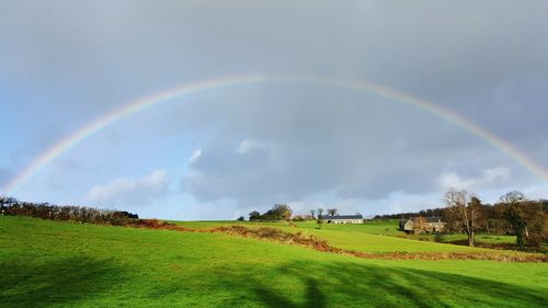 Scenic view of rainbow over field