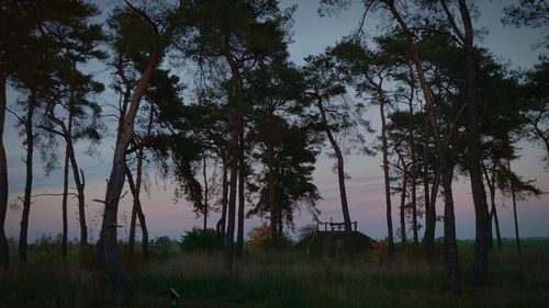 Trees on field against sky at dusk