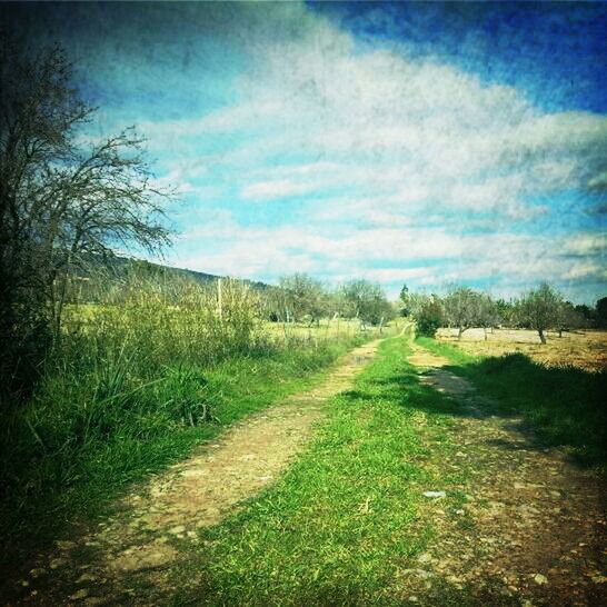 the way forward, sky, grass, tranquil scene, diminishing perspective, tranquility, landscape, road, dirt road, field, vanishing point, country road, nature, cloud - sky, scenics, tree, beauty in nature, cloud, grassy, transportation