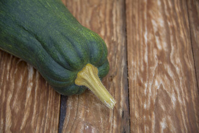Close-up of lizard on table