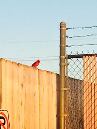 Low angle view of fence against sky