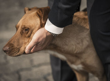 Cropped hand of man petting dog on street