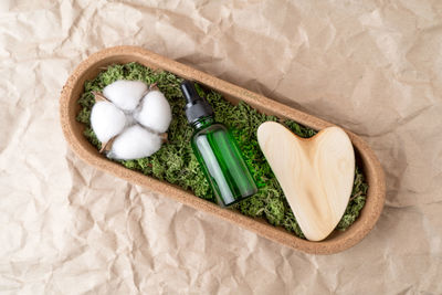 A green dropper bottle of face serum or natural oil lying on a moss