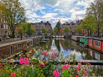 View of flowering plants by lake against buildings in city