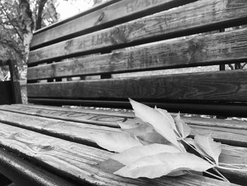 Close-up of bench against wooden wall