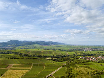 Scenic view of agricultural field against sky