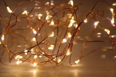 Close-up of illuminated christmas lights