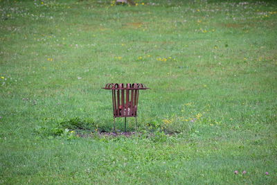 Green grass on field