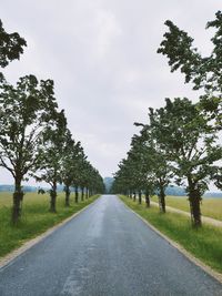 Road amidst trees against sky