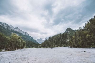 View of trees on mountain against cloudy sky