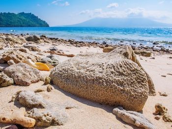 Scenic view of sea shore against sky