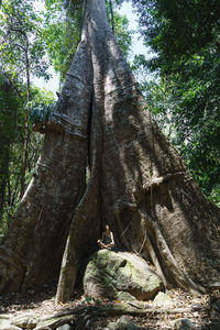 Low angle view of man sitting on rock