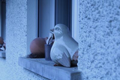 Close-up of a bird against white wall