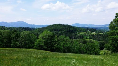 Scenic view of green landscape against sky