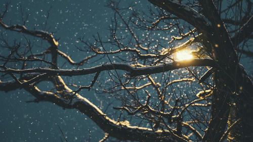 Low angle view of bare tree against sky during winter