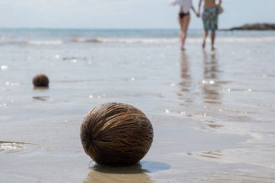 Coconut at beach with couple in background on sunny day