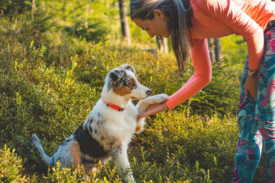 Girl gives task to her pet australian shepherd, who puts her paw on her owner's hand. woman and dog