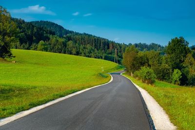 Road amidst trees and plants against sky