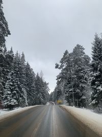 Road amidst trees against sky during winter