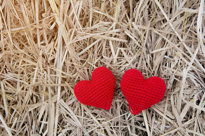 High angle view of heart shape on dry leaf