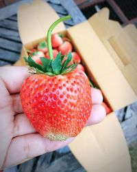 Close-up of hand holding strawberry