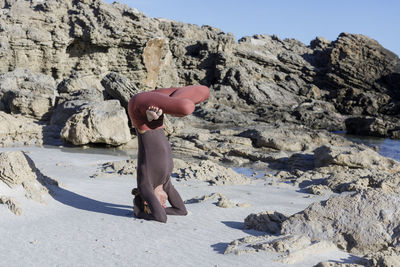 Rear view of woman sitting on rock