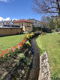 View of flowering plants and buildings against sky