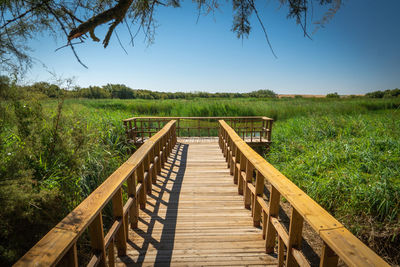 Mirador en las tablas de daimiel