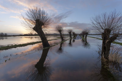 Bare trees by lake against sky during sunset