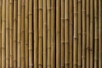 Full frame shot of bamboo