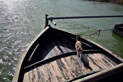 High angle view of a bird on boat