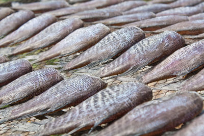 Full frame shot of carrots in market