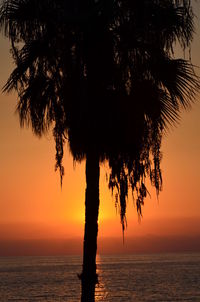 Silhouette palm tree against sea at sunset