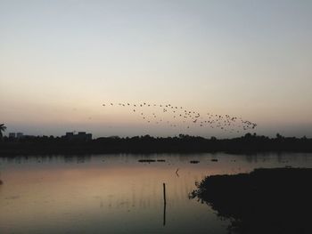 Low angle view of silhouette birds flying over lake during sunset