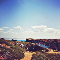 Scenic view of beach against clear blue sky