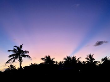 Silhouette palm trees against sky at sunset