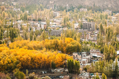 High angle view of townscape and trees in city