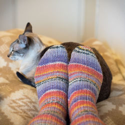 Low section of person sitting by cat on bed